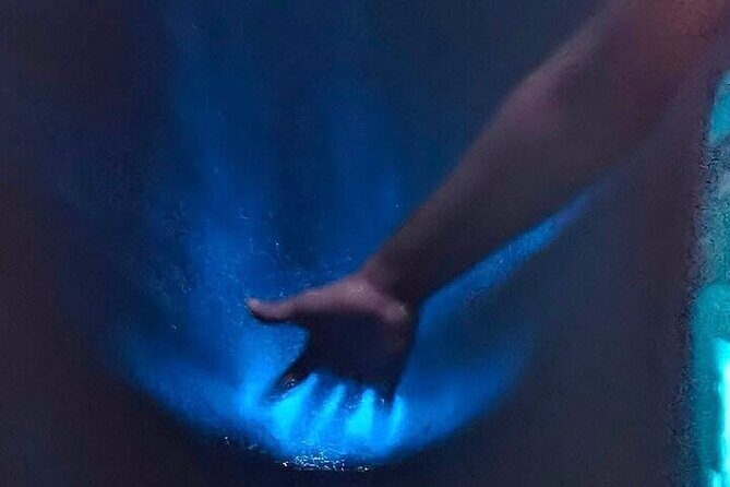 Bioluminescence in Manialtepec Night Tour from Huatulco - Who Should Book This Tour?