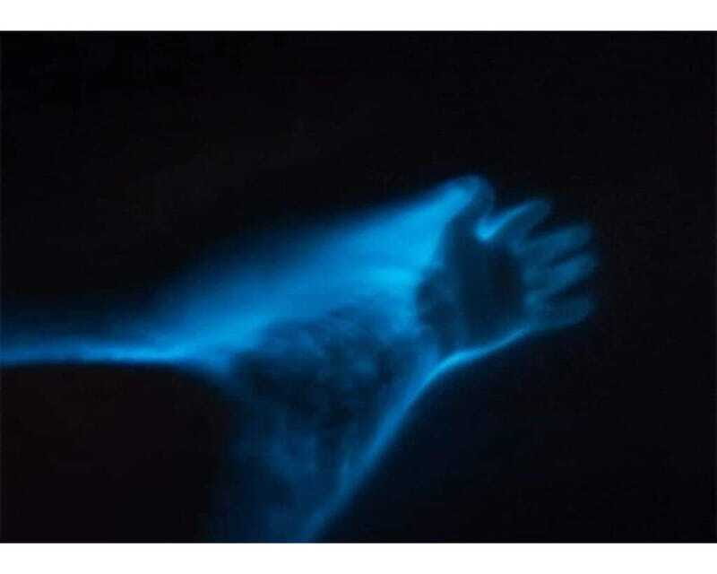 BIOLUMINESCENCE IN PUERTO ESCONDIDO - Who Should Consider This Tour?