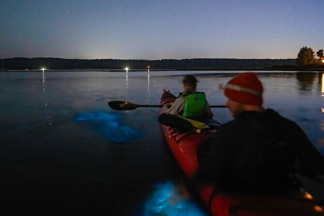 Bioluminescence Kayak Tour at Fort Flagler State Park - A Detailed Look at the Bioluminescence Kayak Tour