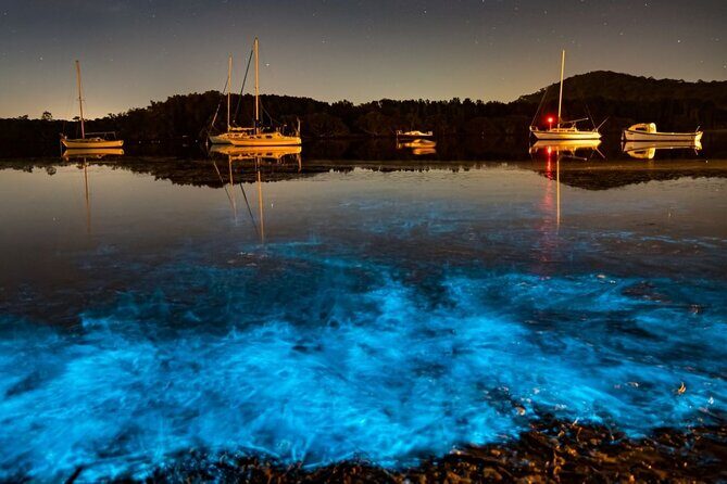 Bioluminescence Kayak Tour at Fort Flagler State Park - FAQ