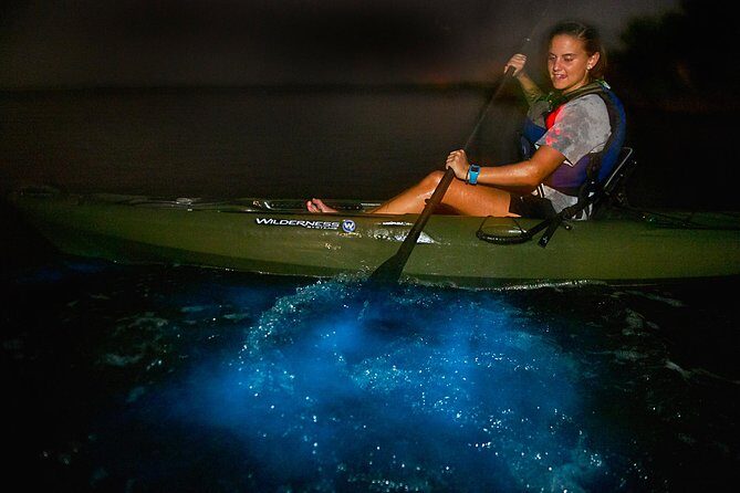 Bioluminescence Kayak Tour - Key Points