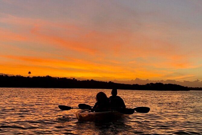 Bioluminescence Kayak Tour - Why This Tour Offers Value