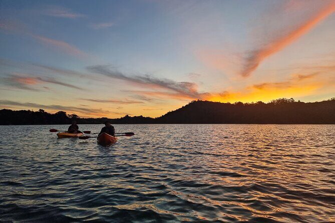 Bioluminescence Kayak Tour - Est. 1994 - The Experience in Detail