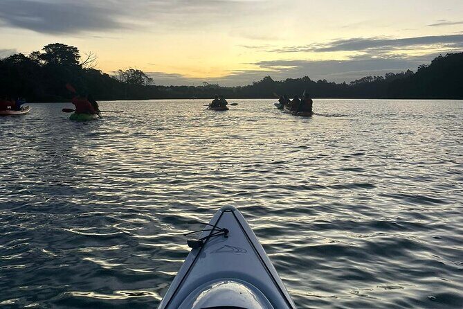 Bioluminescence Kayak Tour - Est. 1994 - Frequently Asked Questions