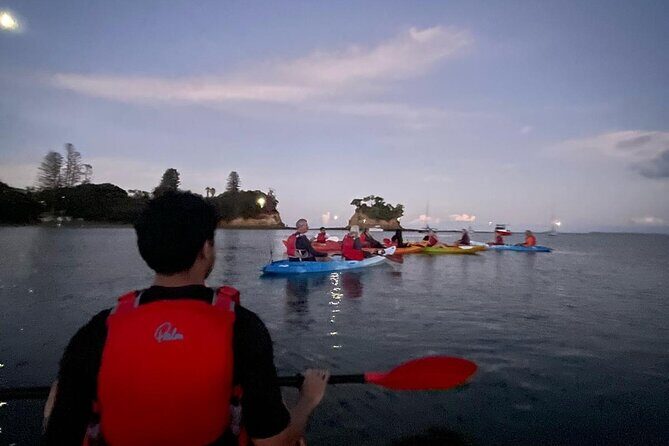 Bioluminescence Kayak Tour - Est. 1994 - Final Thoughts