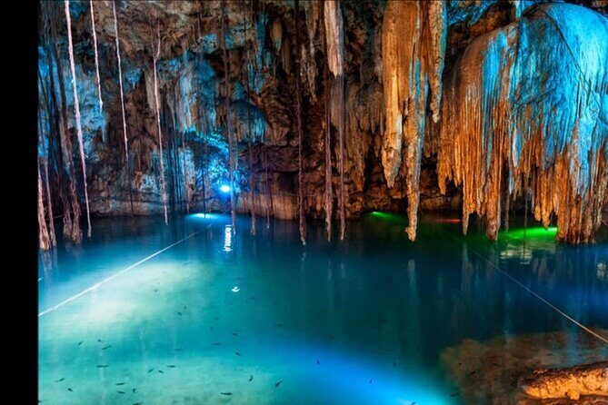 Bioluminescence Lagoon Tour from Montego Bay with Pick Up - Exploring the Bioluminescent Lagoon from Montego Bay