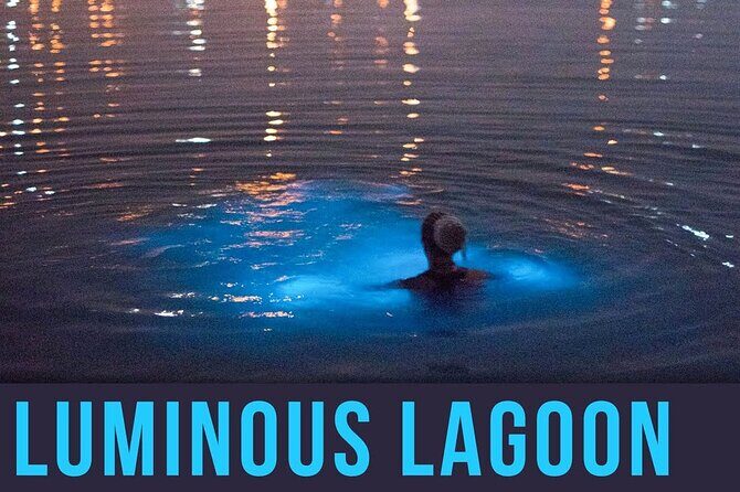 Bioluminescence Lagoon Tour from Montego Bay with Pick Up - FAQ About the Bioluminescence Lagoon Tour