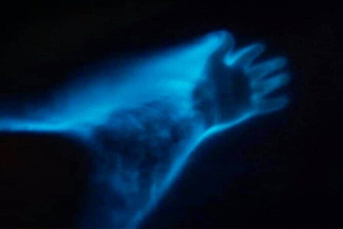 Bioluminescence Night Craigcat Tours - Frequently Asked Questions