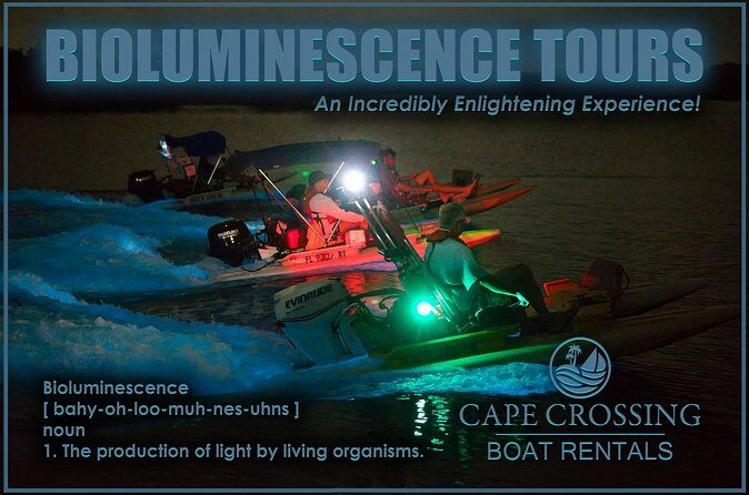 Bioluminescence Night Craigcat Tours - Final Thoughts