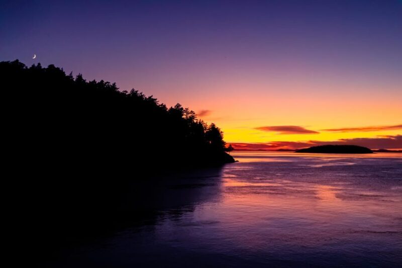 Bioluminescence Night Paddle - The Itinerary and Highlights