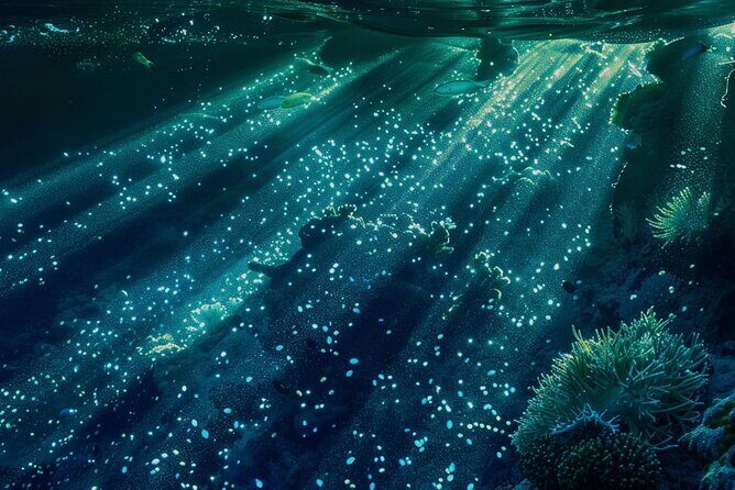 Bioluminescence Snorkel Boat Tour to Klein Bonaire - Exploring the Bioluminescence Snorkel Boat Tour to Klein Bonaire