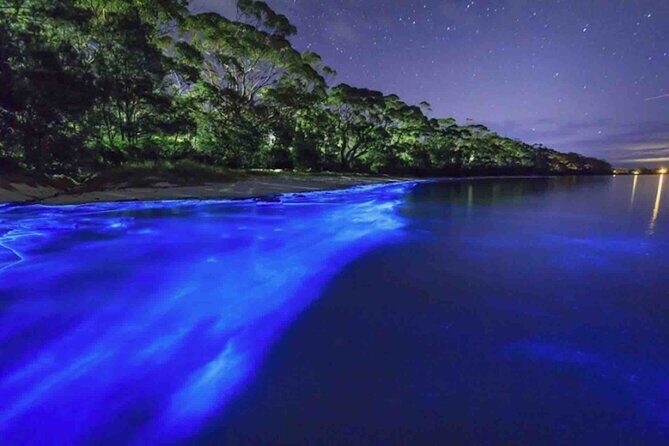Bioluminescence Snorkeling and Boat Experience at Bocas del Toro - Experience the Glow: Bioluminescence Snorkeling and Boat Tour in Bocas del Toro