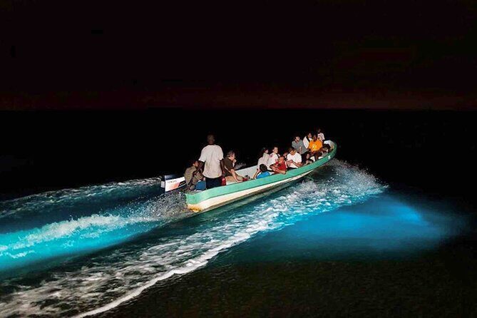 Bioluminescence Snorkeling and Boat Experience at Bocas del Toro - Who Should Consider This Tour?
