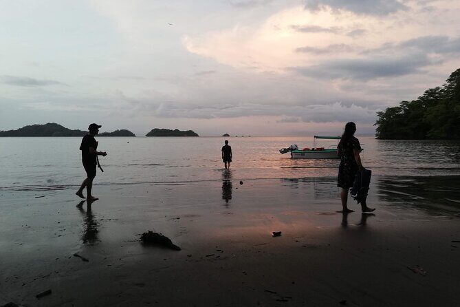 Bioluminescence Tour by Boat - The Experience in Detail