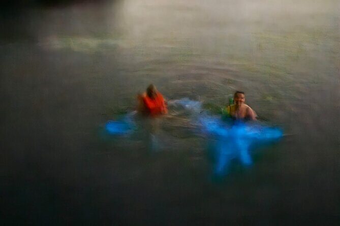 Bioluminescence Tour - Why We Recommend This Tour