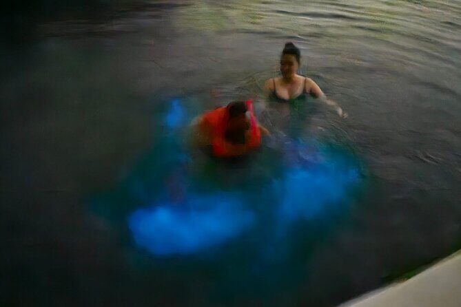 Bioluminescence Tour - FAQ