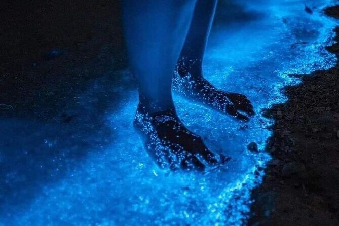 Bioluminescence Tour in Punta Cocos Holbox - Discover the Magic of the Bioluminescence Tour in Punta Cocos, Holbox