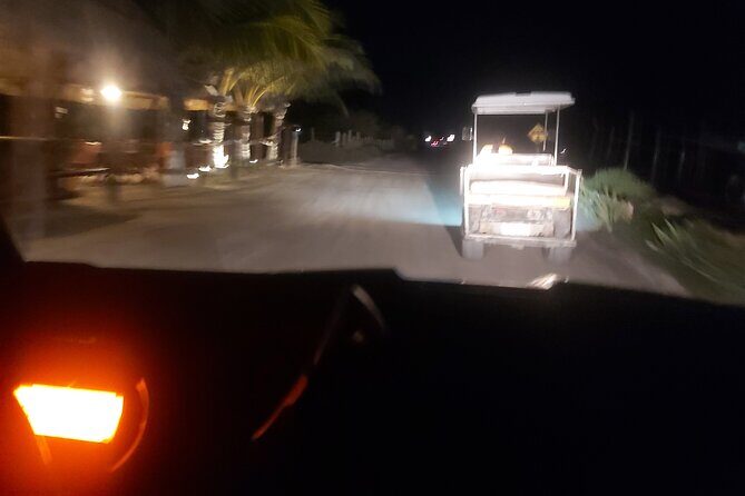 Bioluminescence Tour in Punta Cocos Holbox - Who Will Love This Tour?