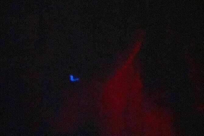 Bioluminescence Tour in Punta Cocos Holbox - Final Thoughts