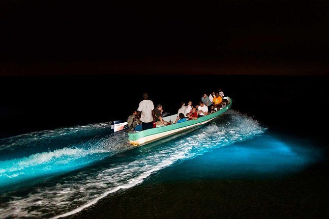 Bioluminescence Tour & Sunset River Cruise - The Experience in Detail: What to Expect on the Bioluminescence Tour & Sunset River Cruise
