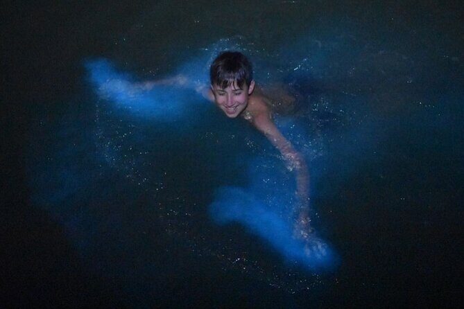 Bioluminescent Bay Boat Charter in Grand Cayman - Who Will Love This Tour?