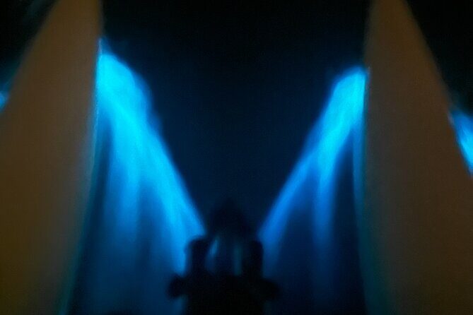 Bioluminescent Bay Chiliboats Waterbike Tour in La Parguera - Key Points