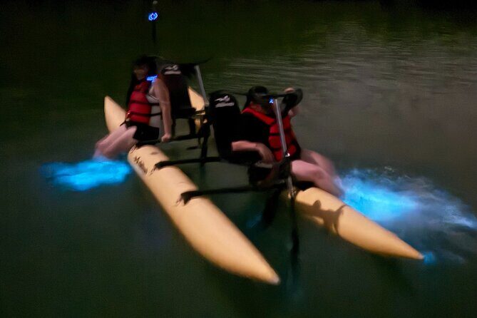 Bioluminescent Bay Chiliboats Waterbike Tour in La Parguera - Who Should Consider This Tour?