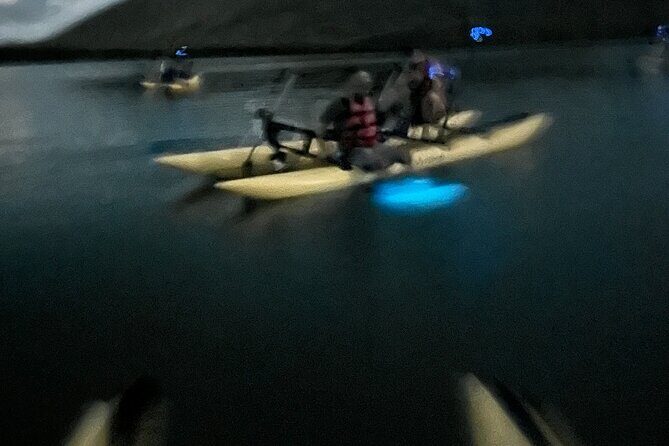Bioluminescent Bay Chiliboats Waterbike Tour in La Parguera - FAQ