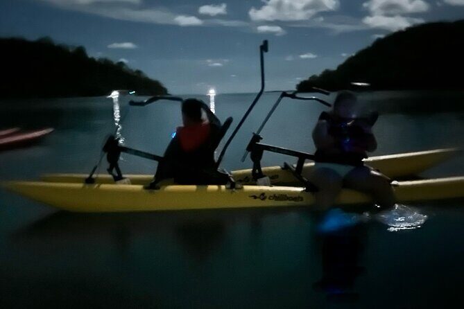 Bioluminescent Bay Chiliboats Waterbike Tour in La Parguera - Final Thoughts