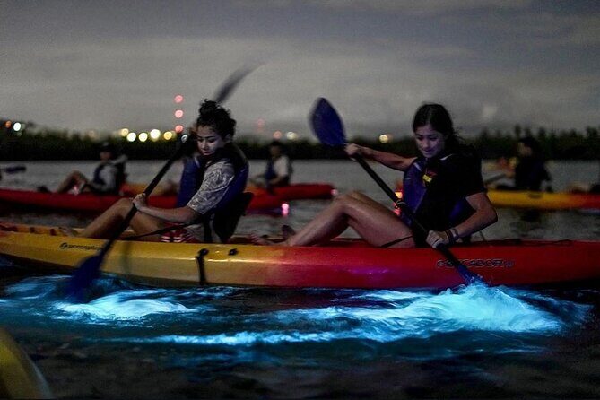 Bioluminescent Bay Kayak Tour in Fajardo Puerto Rico - A Closer Look at the Bioluminescent Bay Kayak Tour in Fajardo, Puerto Rico