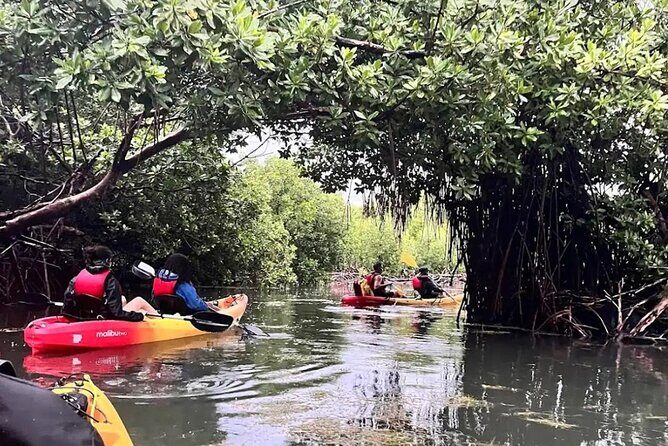 Bioluminescent Bay Kayak Tour in Fajardo Puerto Rico - Analyzing the Experience: Is It Worth It?
