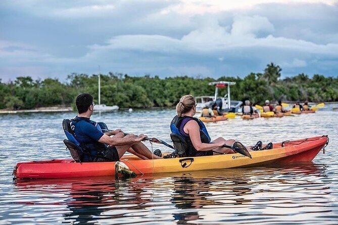 Bioluminescent Bay Kayak Tour in Fajardo Puerto Rico - Who Should Consider This Tour?