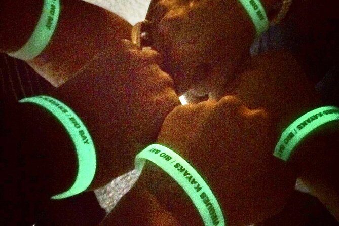 Bioluminescent Bay Kayak Trip from Vieques - Who Should Consider This Tour?