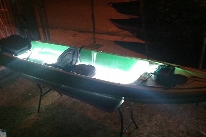 Bioluminescent Bay Kayak Trip from Vieques - Final Thoughts