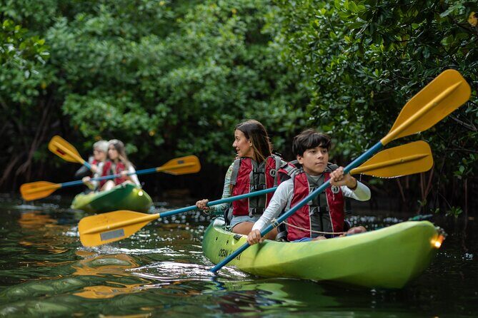 Bioluminescent Bay Night Kayaking Adventure in Puerto Rico - FAQ