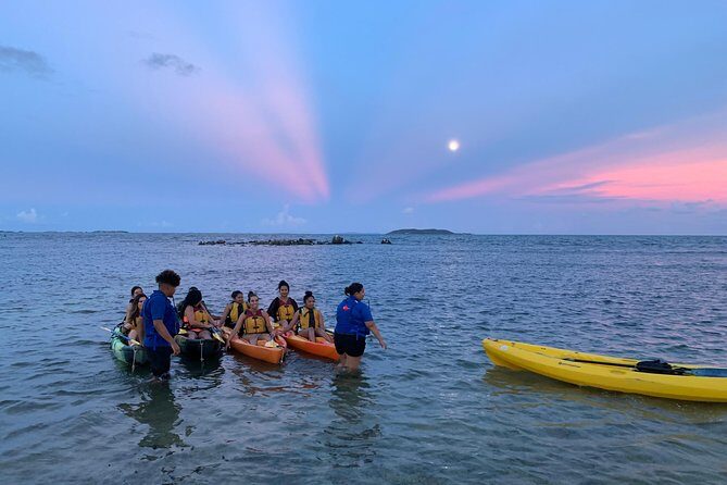 Bioluminescent Bay Night Kayaking, Fajardo - Bioluminescent Bay Night Kayaking, Fajardo: A Natural Light Show