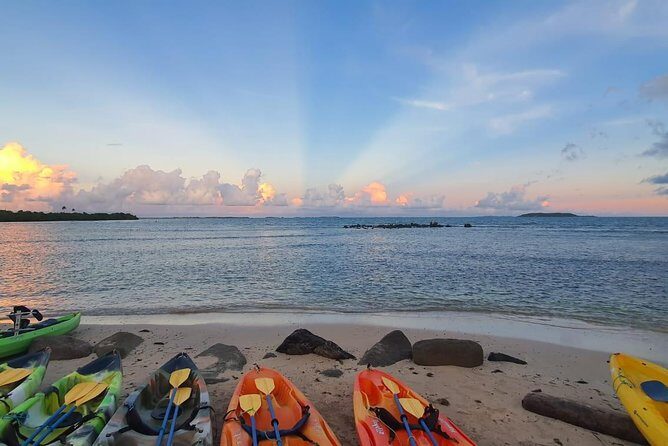 Bioluminescent Bay Night Kayaking, Fajardo - Final Thoughts: Is It Worth It?