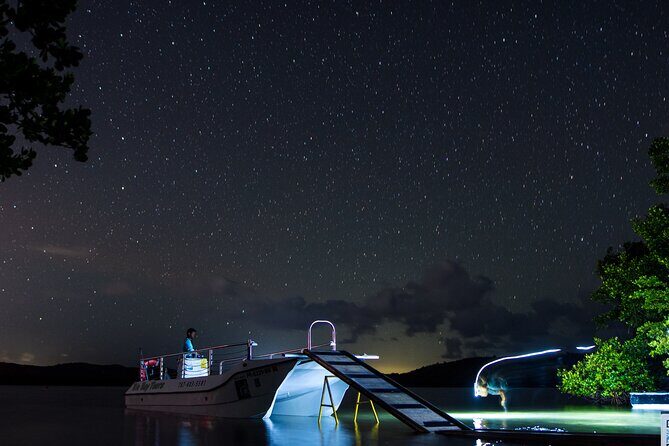 Bioluminescent Boat Tour in Mosquito Bay, Vieques - Bioluminescent Boat Tour in Mosquito Bay, Vieques