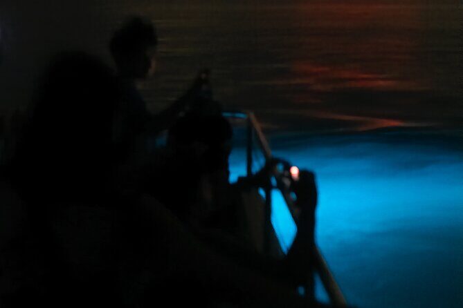 Bioluminescent Boat Tour in Mosquito Bay, Vieques - Detailed Breakdown of the Itinerary