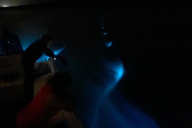 Bioluminescent Boat Tour in Mosquito Bay, Vieques - Authentic Perspectives from Travelers