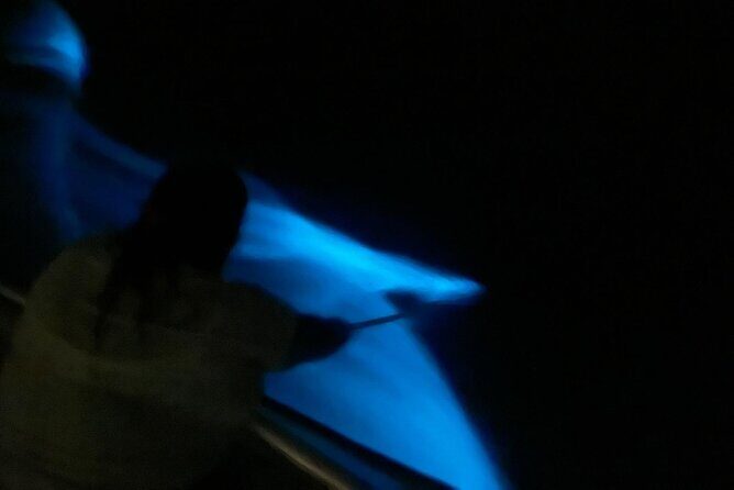 Bioluminescent Boat Tour in Mosquito Bay, Vieques - FAQ