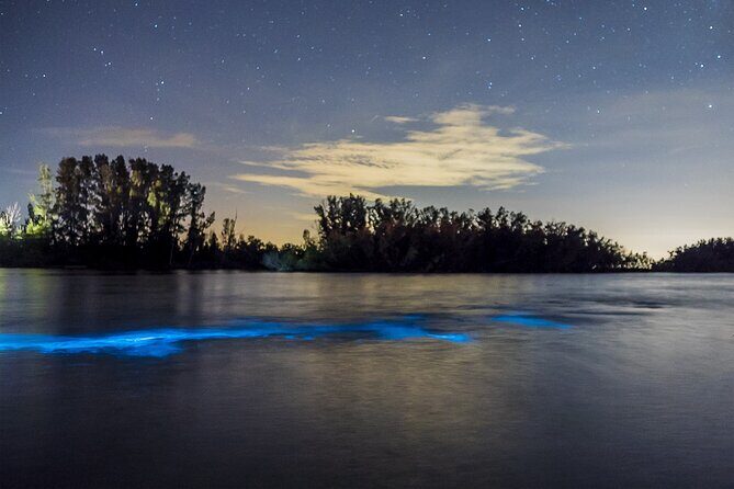 Bioluminescent Clear Kayak Tours in Titusville - The Experience in Detail
