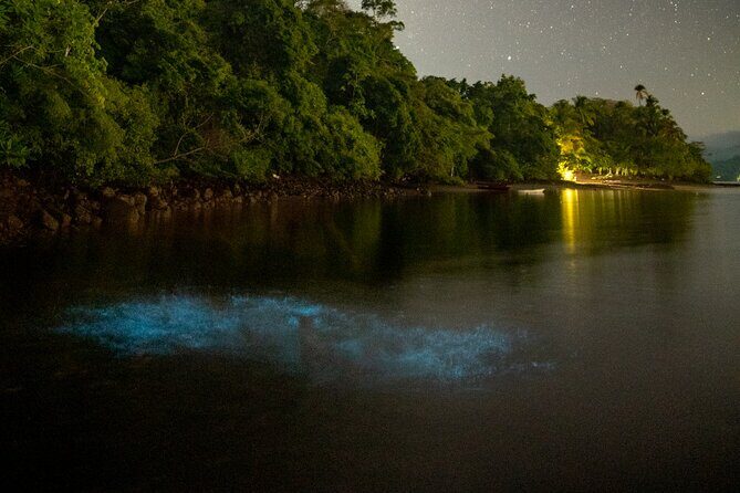Bioluminescent Kayak Tour - Key Points