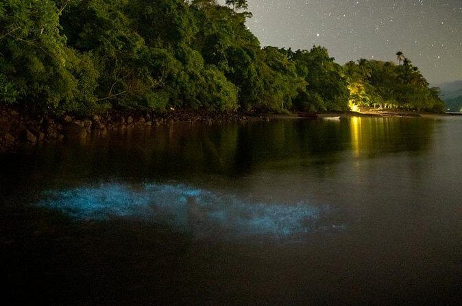 Bioluminescent Kayak Tour - Authenticity and Value