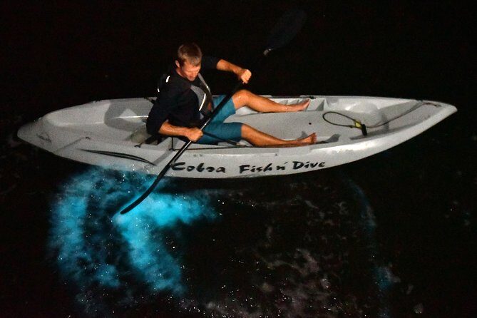 Bioluminescent Kayak Tour by THE #1 Rated Company in Cocoa Beach - An In-Depth Look at the Cocoa Beach Bioluminescent Kayak Tour