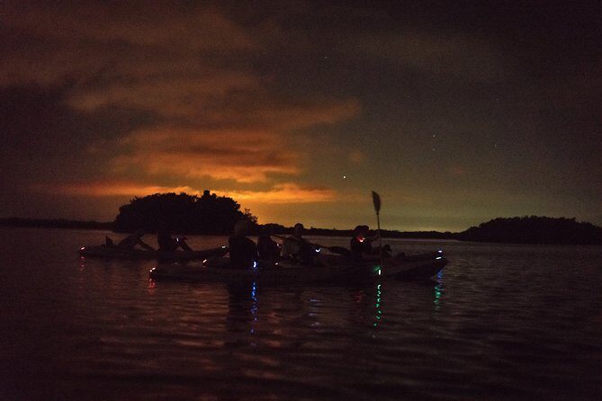 Bioluminescent Kayak Tour by THE #1 Rated Company in Cocoa Beach - FAQ