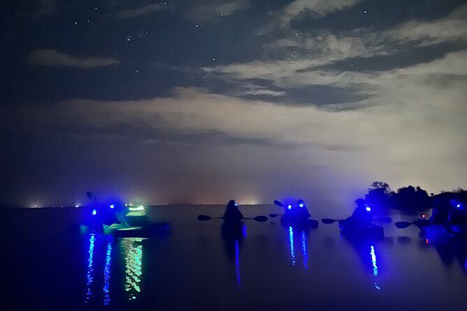 Bioluminescent Kayak Tour in Floridas Indian River Lagoon - Discover the Magic of a Bioluminescent Kayak Tour in Florida’s Indian River Lagoon