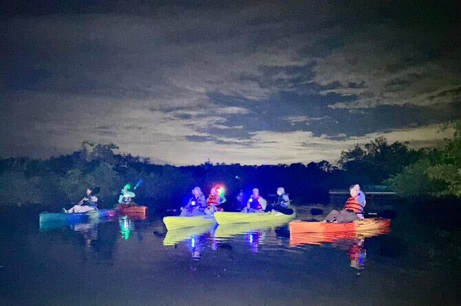 Bioluminescent Kayak Tour in Floridas Indian River Lagoon - Key Points