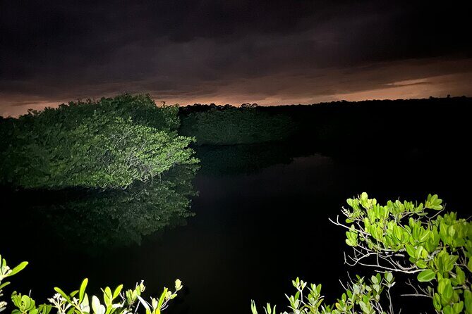 Bioluminescent Kayak Tour in Floridas Indian River Lagoon - Final Thoughts