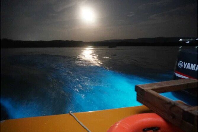 Bioluminescent Private Night Tours From Montego Bay - FAQs about the Bioluminescent Private Night Tour